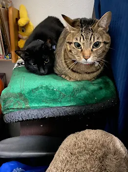 初詣デート♡