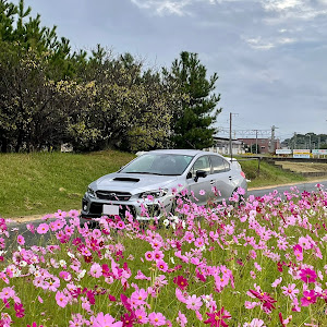 WRX S4 VAG