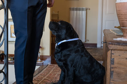 Fotógrafo de casamento Domenico Guardabascio (9apfbml). Foto de 8 de novembro 2022