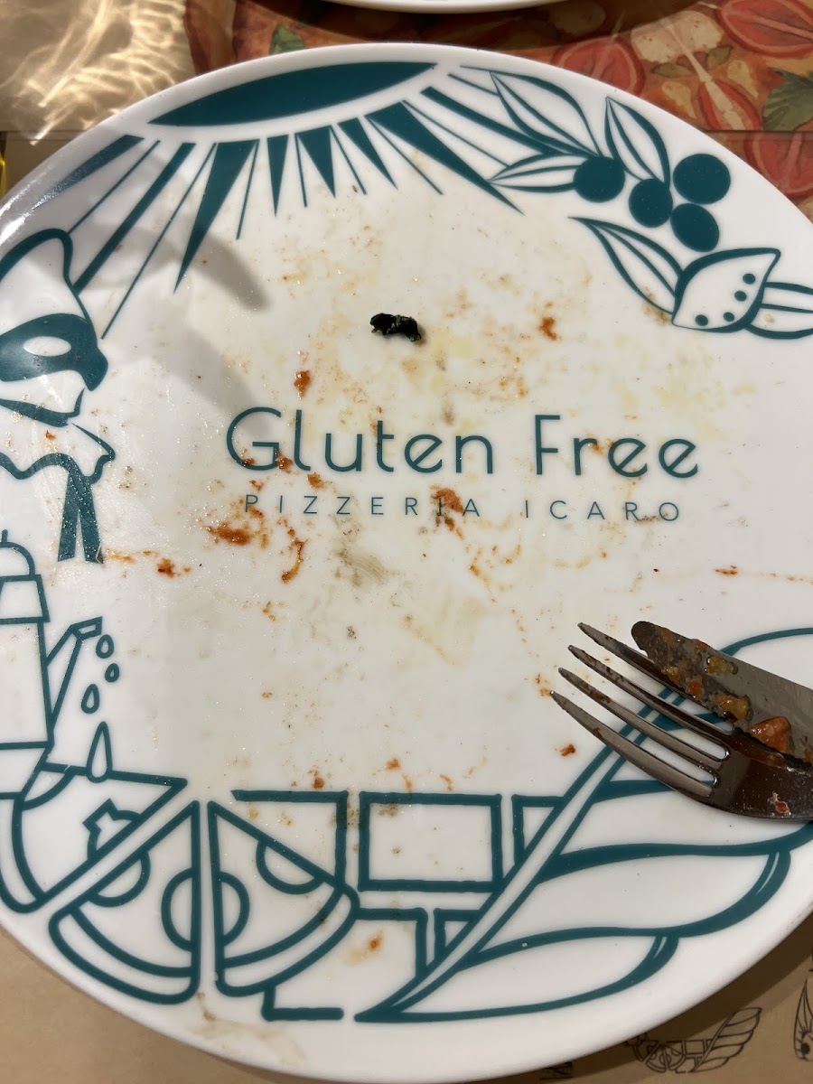 Gluten-Free at PIZZERIA ICARO