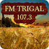 Radio FM Trigal 107.3 MHZ icon