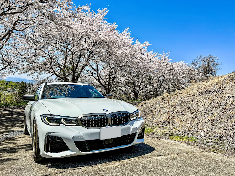 3シリーズ ツーリングの桜並木と愛車・桜吹雪・g21・BMW3シリーズツーリングに関するカスタム事例の投稿画像2枚目