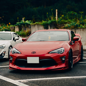 86 ZN6