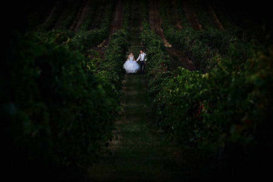 Fotograful de nuntă István Lőrincz (istvanlorincz). Fotografia din 24 iulie 2018