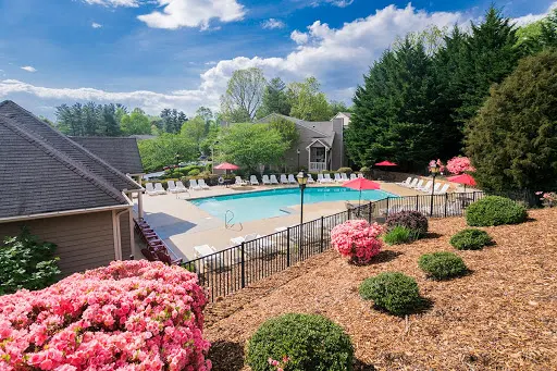 Landscaped area with flower bushes overlooking community pool with lounge chairs