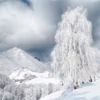 Neve e gelo di 