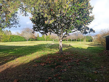 maison à Le Controis-en-Sologne (41)