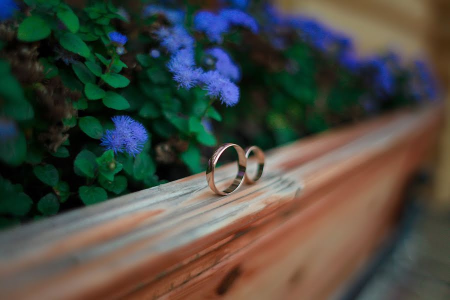 Fotografo di matrimoni Lina Serykh (linas). Foto del 27 settembre 2016