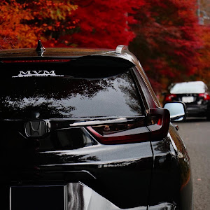 CR-V RW1