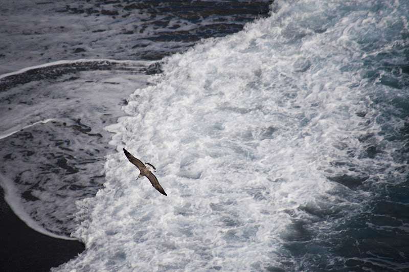  volo libero di gabrielecollini