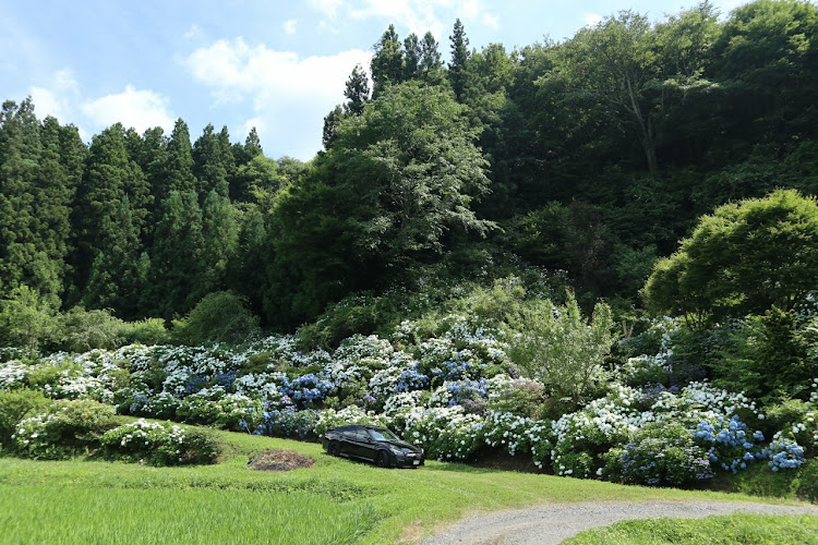 の投稿画像3枚目