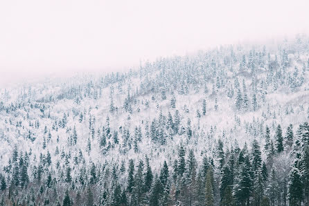 Fotograful de nuntă Nazariy Karkhut (karkhut). Fotografia din 6 decembrie 2017