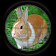 Rabbit Hunting 3D icon