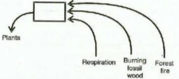 Nutrient Cycling