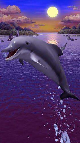 Los delfines fondo de pantalla66 - Última Versión Para Android - Descargar  Apk