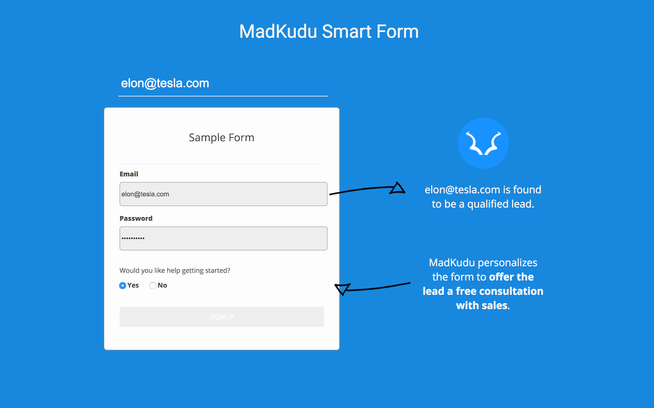 MadKudu Form Preview image 2