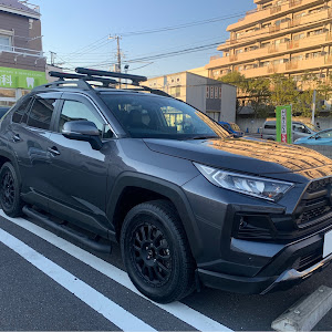 RAV4 MXAA54