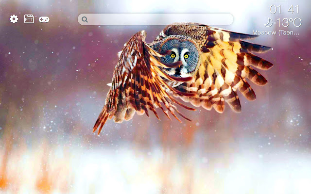 Owls HD new free tab theme