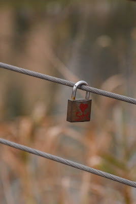 Il primo amore... di Wilmanna