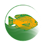 My Fish Manager - Farming app icon