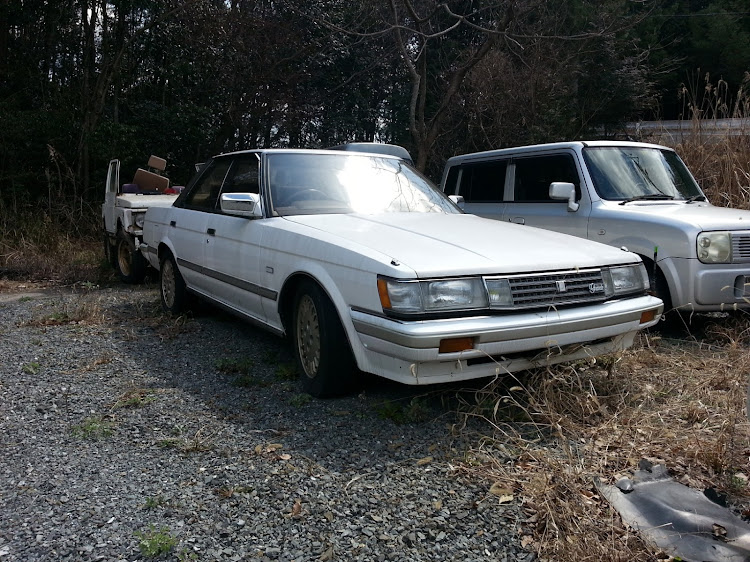 マークIIの納車から現在までの愛車・コケまみれ・放置プレイ・走れるまでに・七壱に関するカスタム事例の投稿画像1枚目