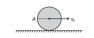 Rotational Dynamics