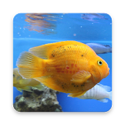 Fish Wallpapers 1.0 Icon