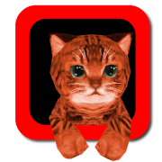 Cat simulator 3D 1.1 Icon