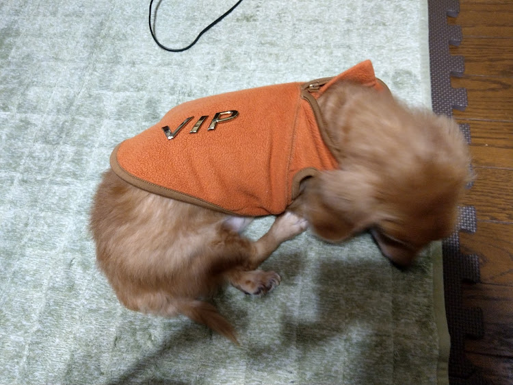 シーマのDIY・エンブレムはずし・両面テープの跡に関するカスタム事例の投稿画像3枚目