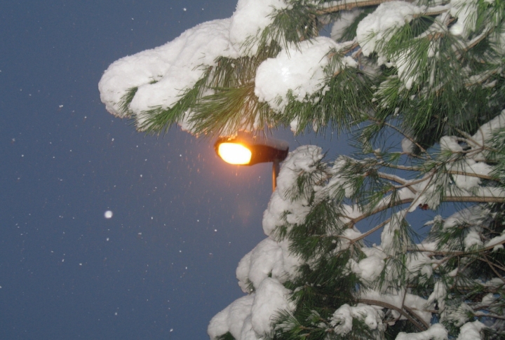 Tra la neve di GIRELLA