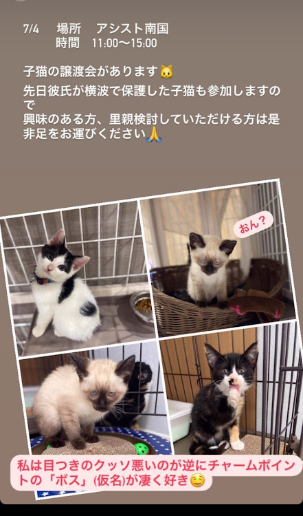 カローラレビンの高知に関するカスタム事例の投稿画像1枚目