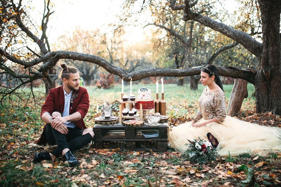 Fotógrafo de bodas Demchenko Denis (denisdemchenko). Foto del 19 de noviembre 2015