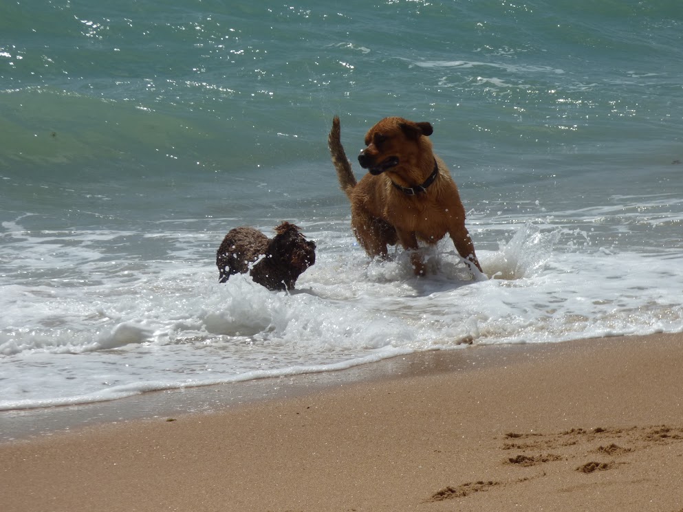 conil frontera