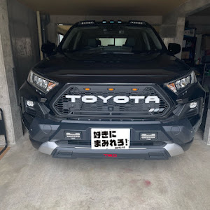 RAV4 MXAA54