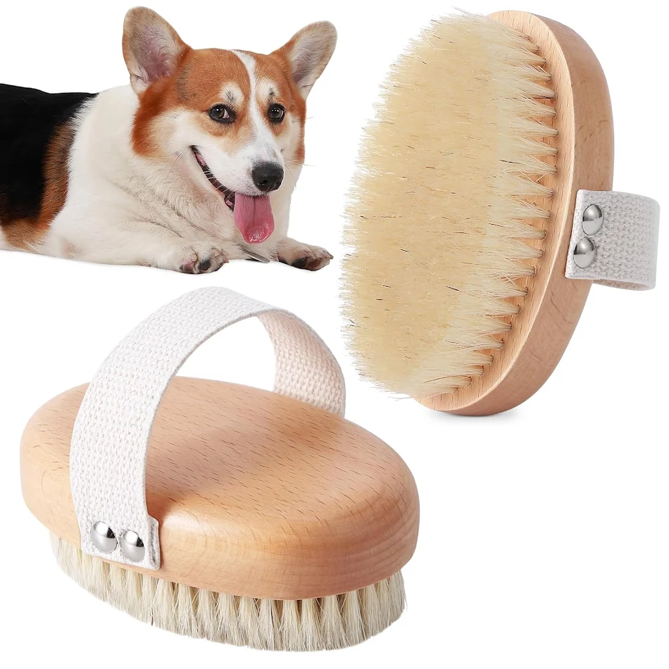Zachte zwijnenharen dierenhandborstel voor kortharige honden en katten. Vermindert verharing, ergonomisch ontwerp, makkelijk in gebruik. Ideaal.