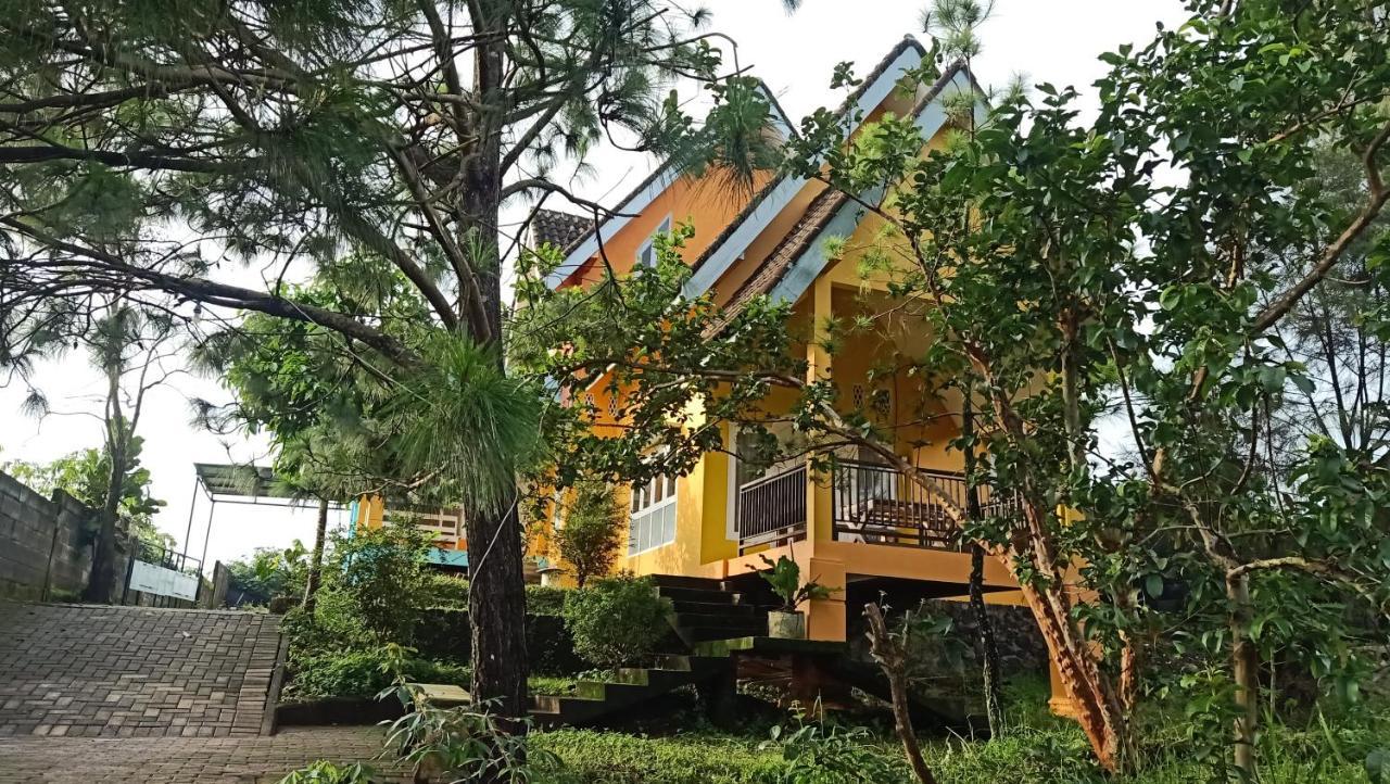 Types of Homestays