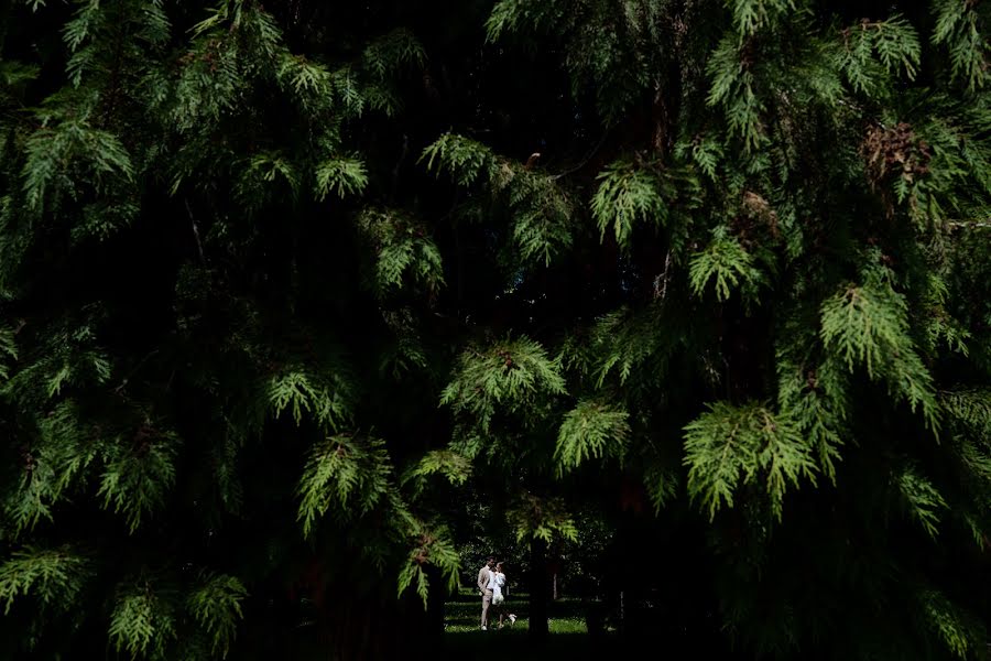 Fotógrafo de casamento Sabin Neacsa (sabinneacsa). Foto de 11 de junho 2022