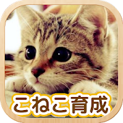 تحميل   ねこ育成ゲーム - 完全無料！子猫をのんびり育てるアプリ！かわいいねこゲーム！ APK 