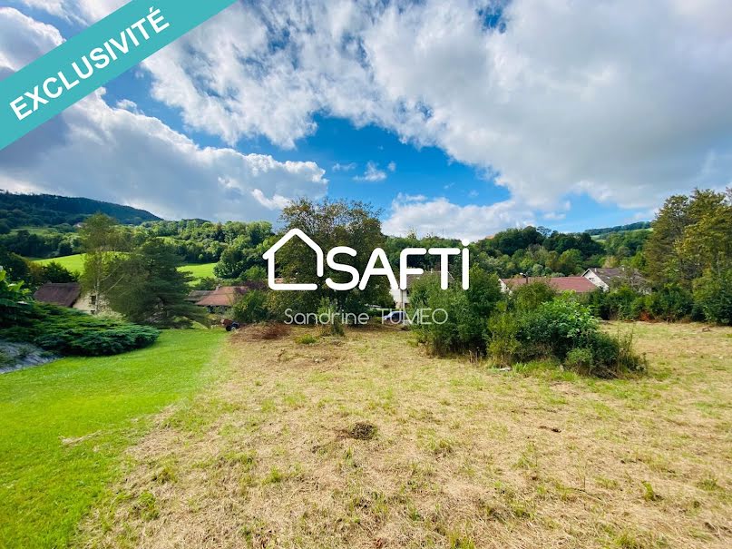 Vente terrain  4585 m² à Salins-les-Bains (39110), 99 000 €