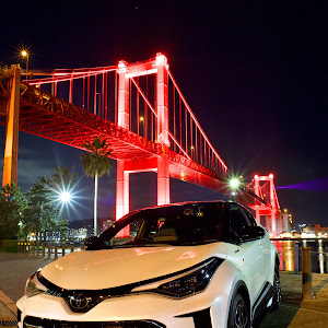 C-HR ZYX11