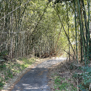 タントカスタム LA600S