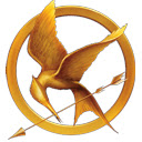 The Hunger Games Theme Chrome extension download