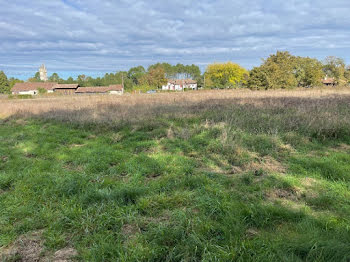 terrain à Libourne (33)