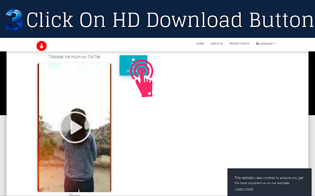 TikTok Video Downloader