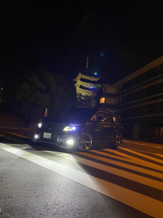 エルグランドの奈良猿沢池に関するカスタム事例の投稿画像2枚目