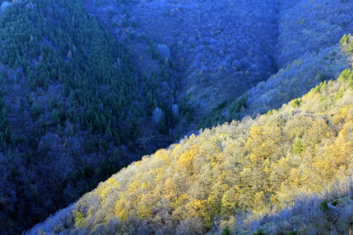 Macchia di Claudio Mandica