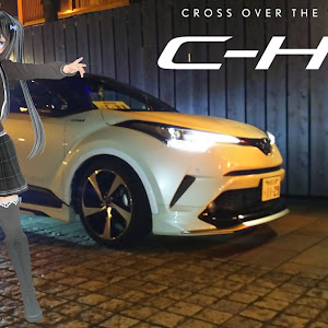 C-HR ZYX10