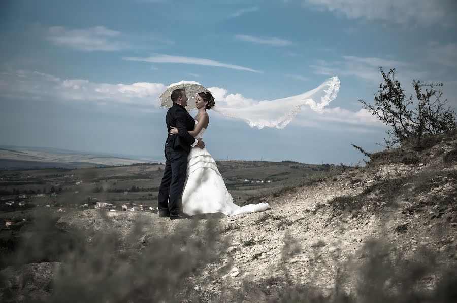 Photographe de mariage Vasiliu Leonard (vasiliuleonard). Photo du 25 mars 2015