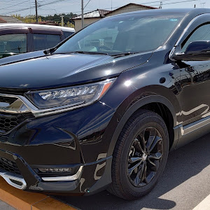 CR-V RW1