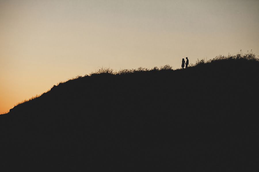 Wedding photographer Tony Iskra (iskraphoto). Photo of 30 October 2013